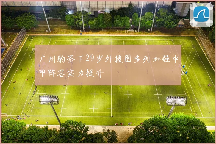 广州豹签下29岁外援图多列加强中甲阵容实力提升