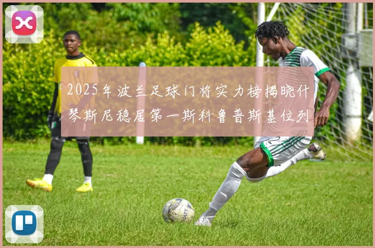 2025年波兰足球门将实力榜揭晓什琴斯尼稳居第一斯科鲁普斯基位列第三
