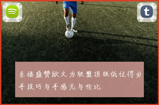 乐福盛赞欧文为联盟顶级低位得分手技巧与手感无与伦比